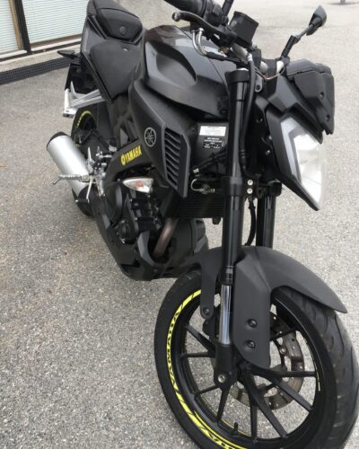 2017 mt125